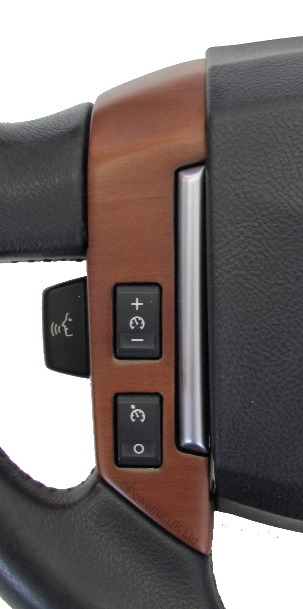 Steering Wheel Switch LH (2 Switch) - Cherry for Range Rover Sport