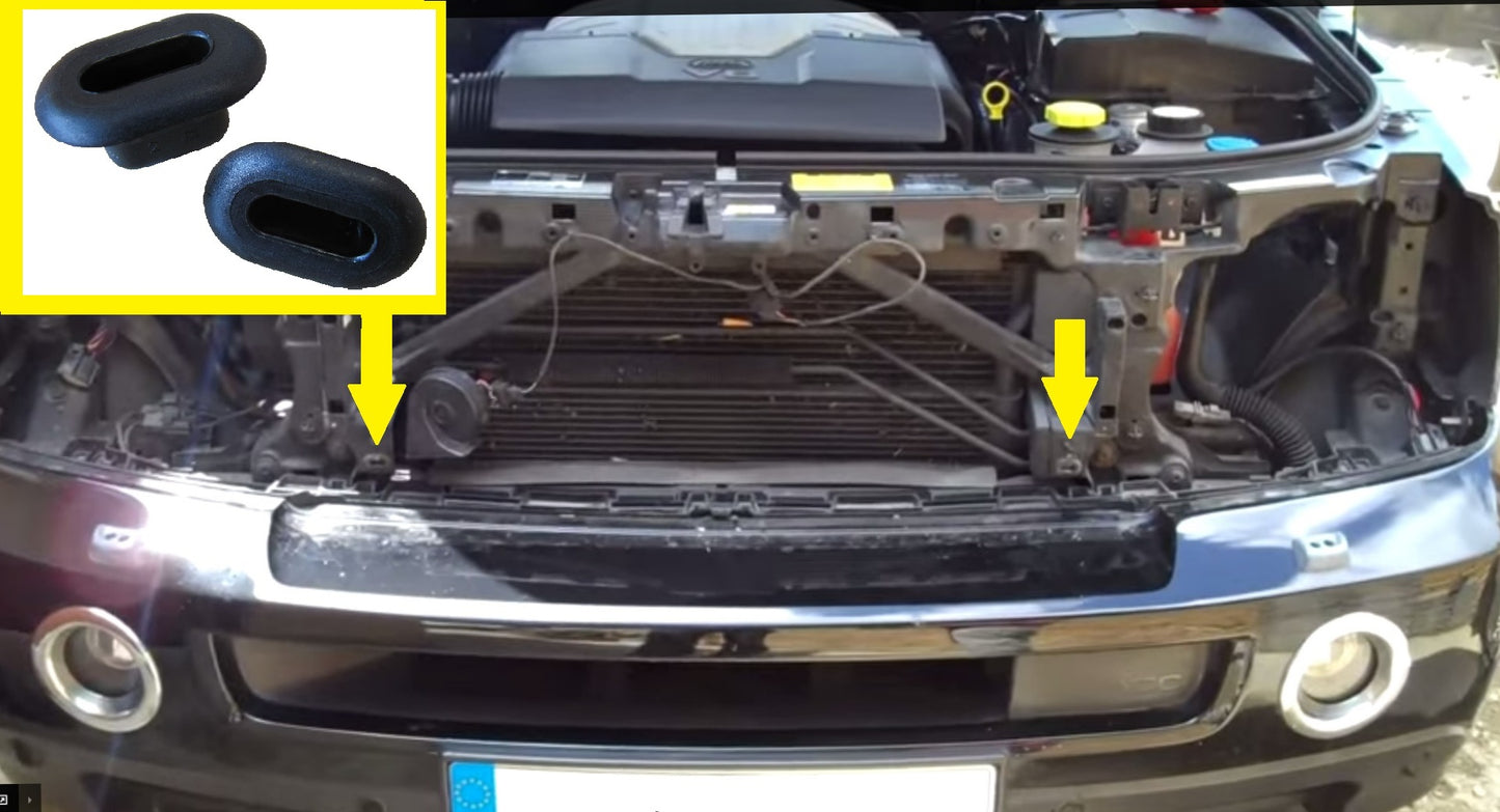 Front Grille Plastic "Docking" Inserts - Pair for Range Rover Sport 05