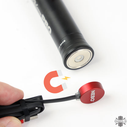 'Big Larry Pro' Torch + Mount Kit for Folding Picnic Table for Land Rover Defender L663 - Vertical